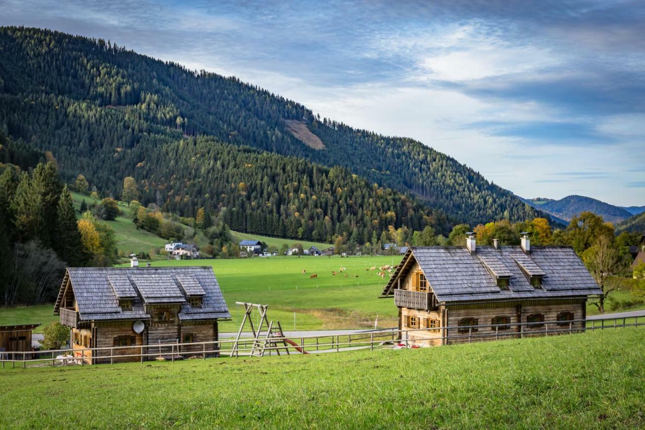 Feriendorf Lassing Goestling an der Ybbs Exterior photo